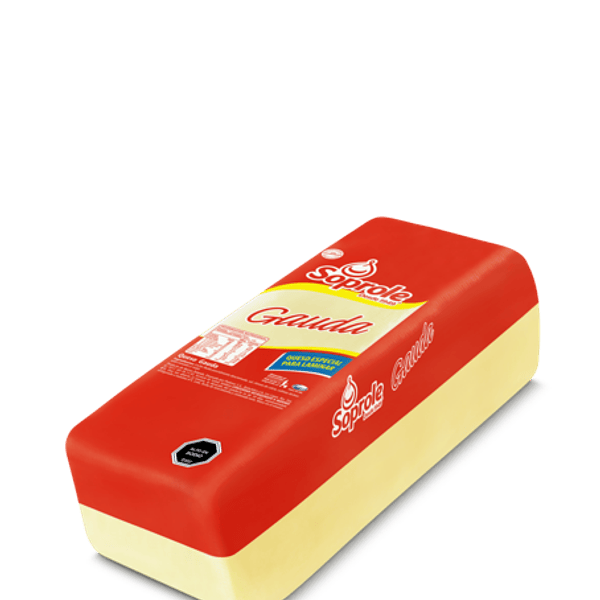 Queso Gauda Barra Soprole (Laminado Granel)